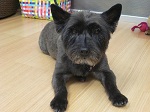 2012-09-05 10.33.34.jpg